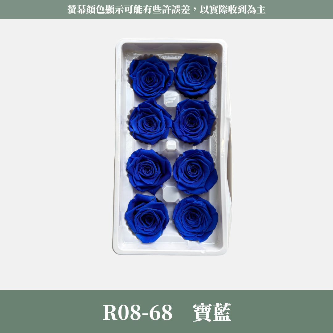 R08 A級八輪玫瑰｜約 4-5 cm｜花藝師必買 不凋大玫瑰花頭 永生玫瑰 香頌玫瑰 甦醒玫瑰 花束材料 捧花材料