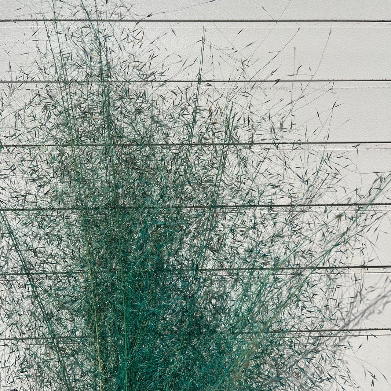 【台灣現貨】PL031-S 粉黛草 (5支) 粉黛 亂子草 芒草 永生花 小份 點綴花材 夢幻 DIY 材料包