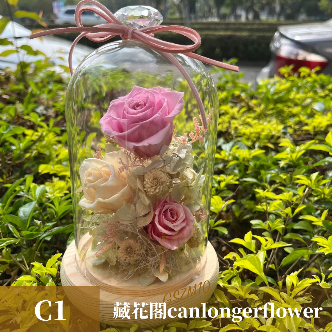 GSZM10 粉色系永生罩盅M