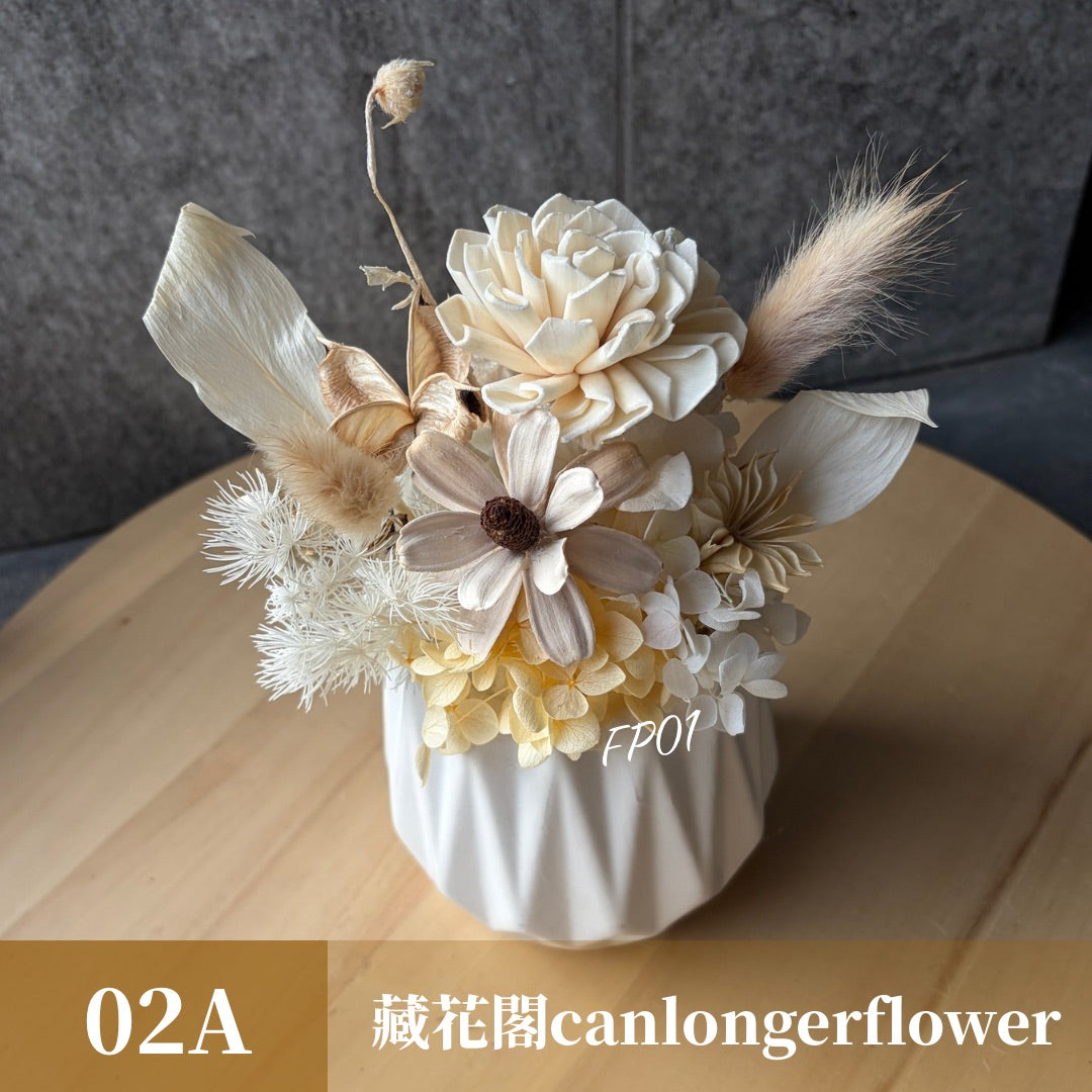 Gift-FP01 乾燥陶瓷小盆花 (含XS梯形透明提袋) 白色 粉色 綠色 藍色 盆花 開幕 送禮 慶賀 擺飾 裝飾品