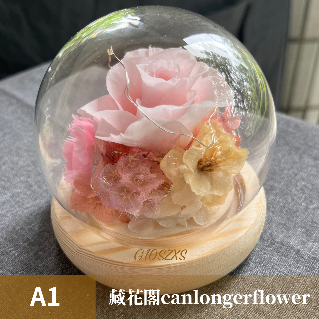 GSZXS10 粉色系永生玫瑰罩盅XS(帶燈)