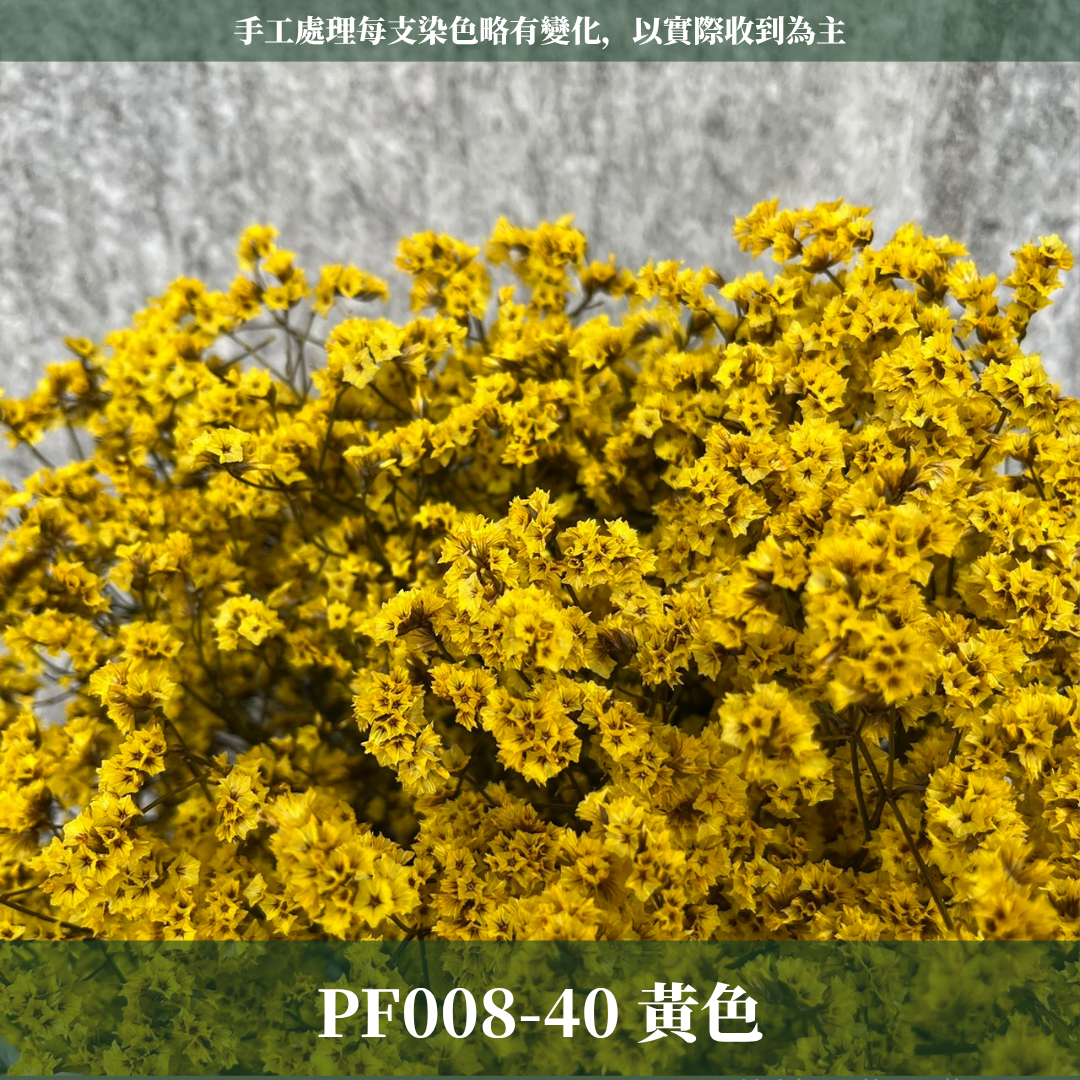 PF008 原裝水晶花｜現貨