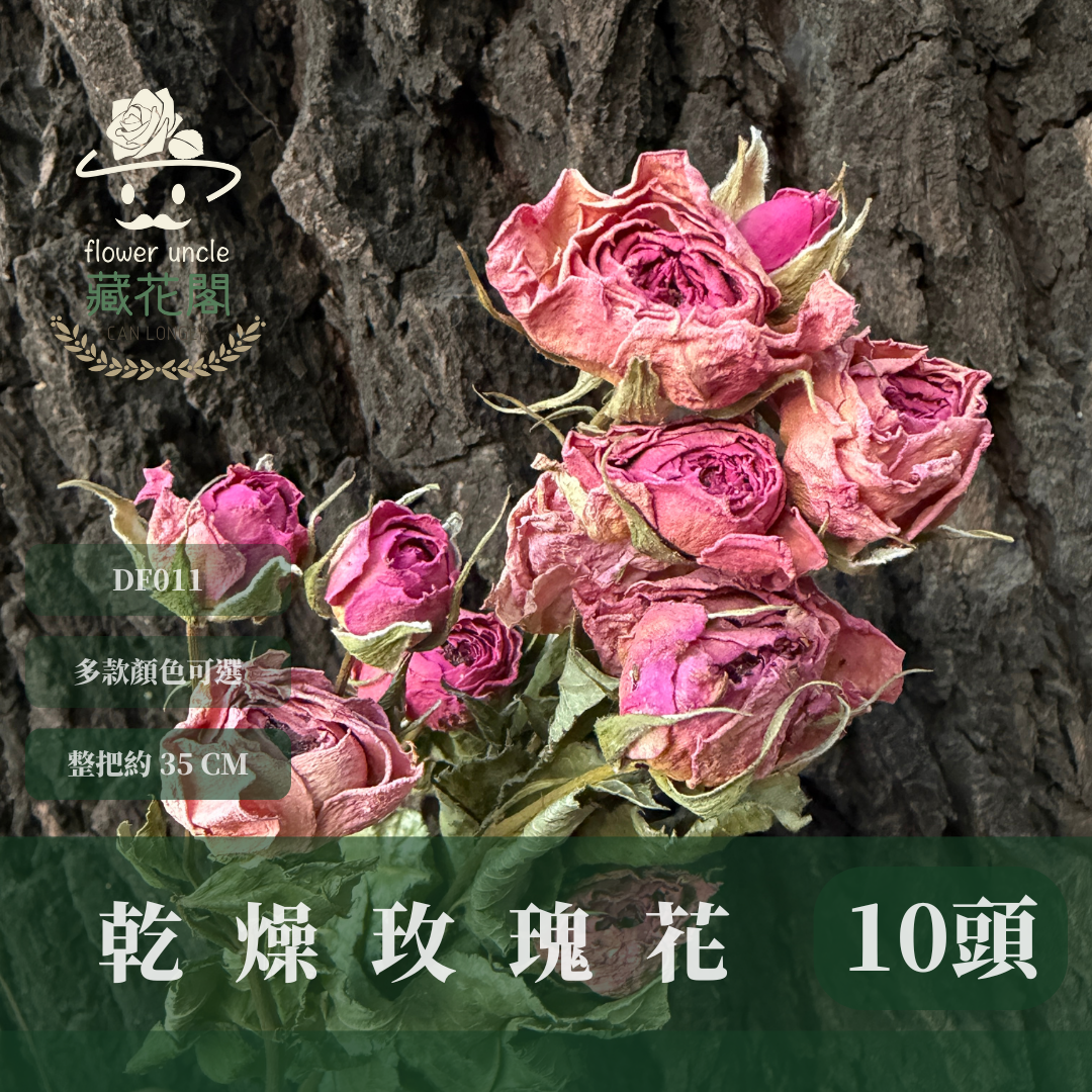 DF011S 乾燥玫瑰經濟包｜進口乾燥花 花束花材 情人節 畢業花禮 拍照道具 手作素材 花圈設計 不凋風格 台灣現貨