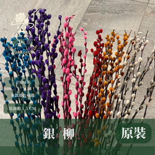PA014 原裝銀柳｜招財永生銀柳枝條 彩色貓柳 染色細柱柳 春節花禮 過年花材 節氣佈置 年宵花 乾燥花
