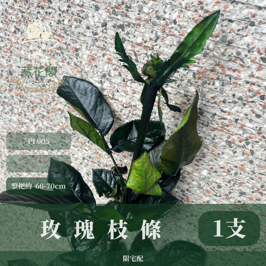 ✿ 台灣現貨 ✿ PL020 玫瑰枝條 60-70CM