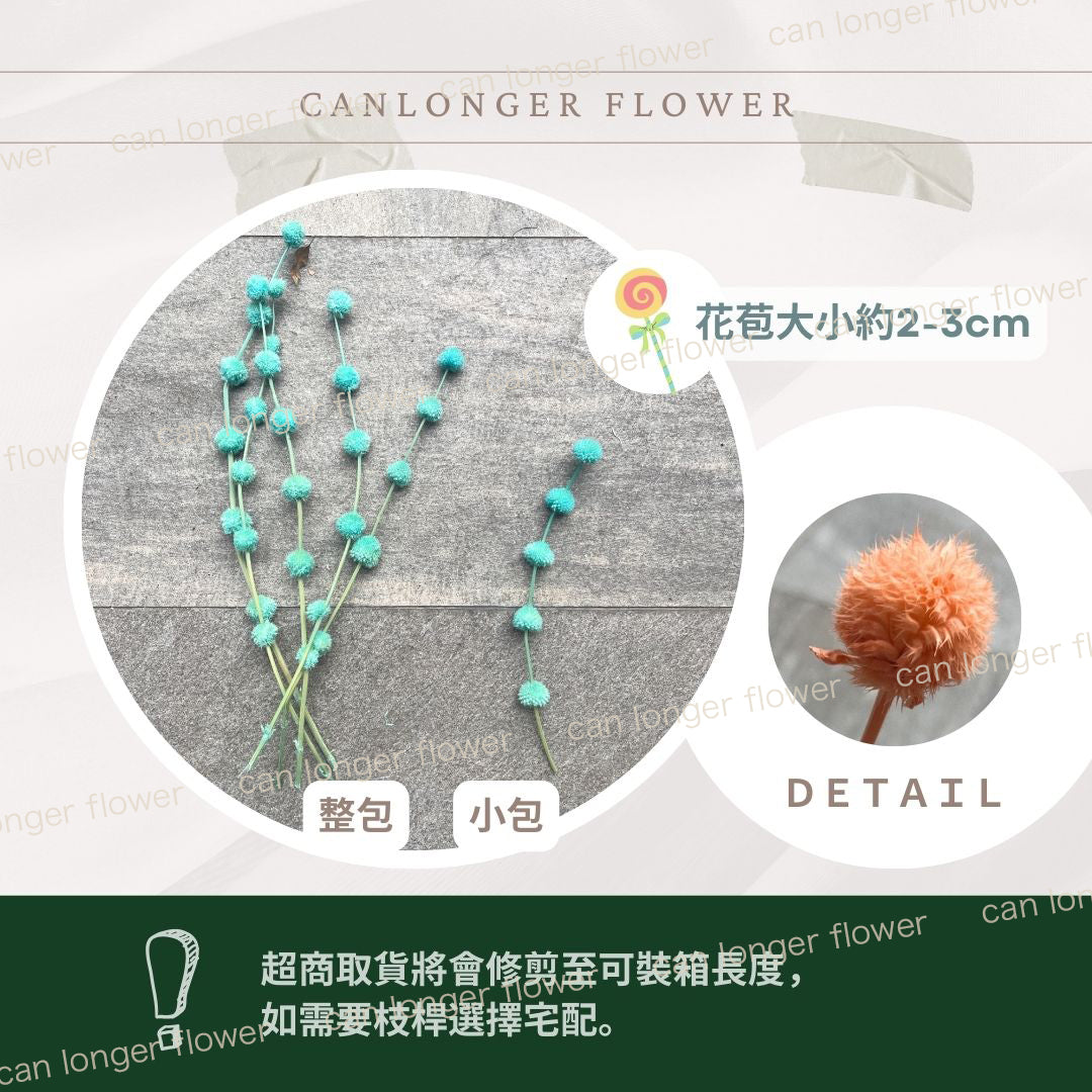 ✿ 台灣現貨 ✿ PA053 棒棒糖