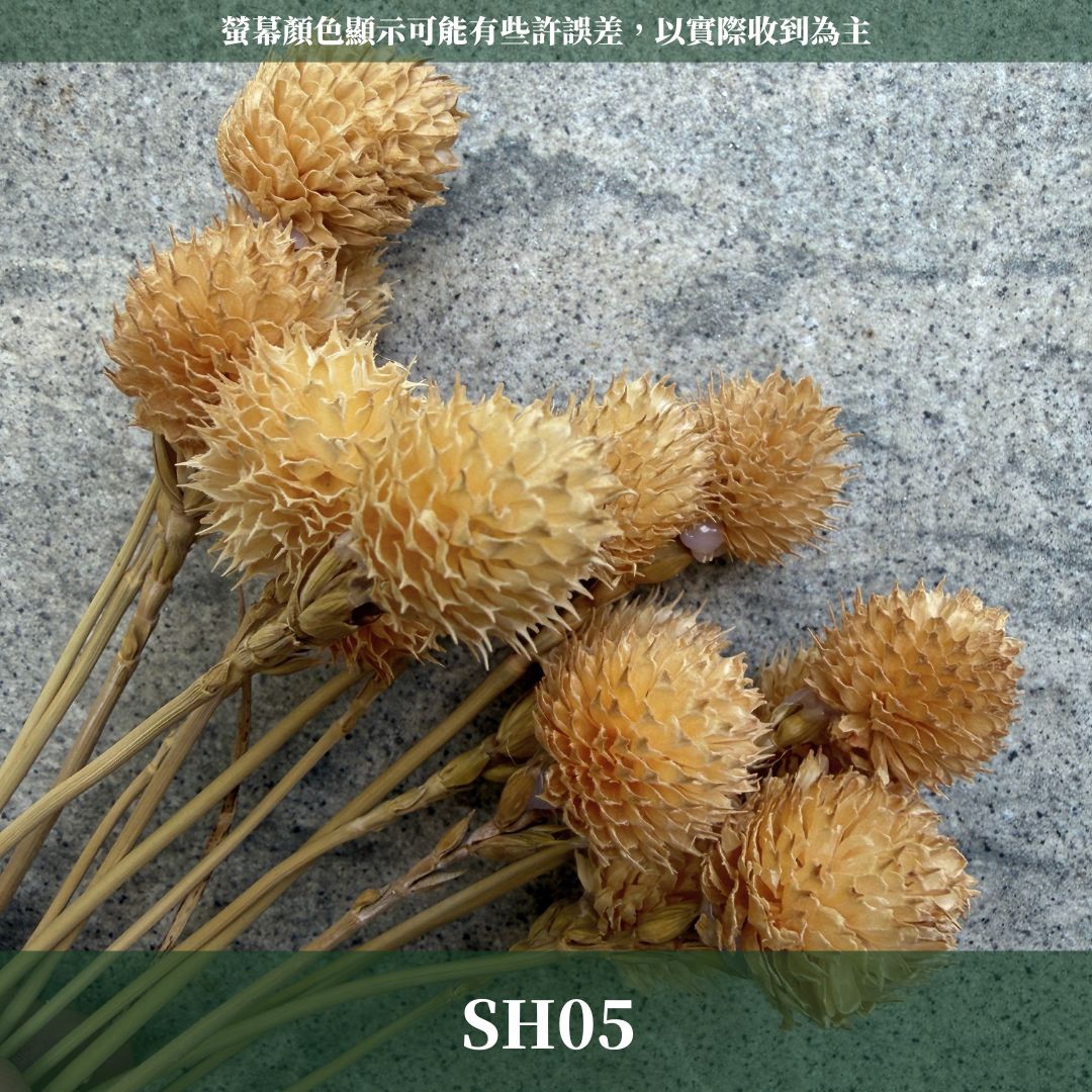 SH05 手工復古千日紅｜草莓果 乾燥花 手工花 圓仔花 diy花材 乾燥果實 聖誕佈置 花環裝飾 手工蠟燭材料