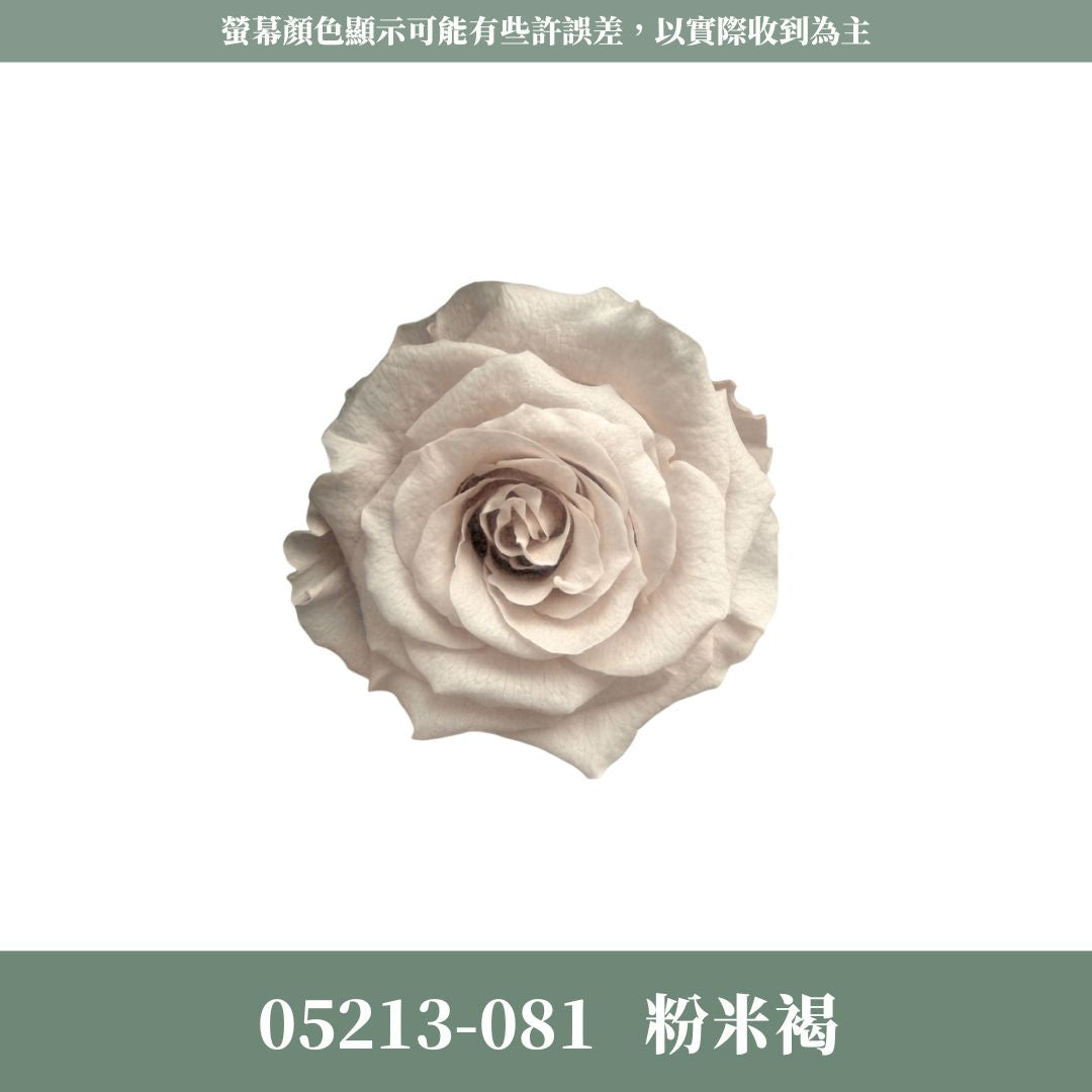 05213 原裝滿開玫瑰05213s 日本大地滿開玫瑰｜絕版貨號出清｜日本進口玫瑰 玫瑰花頭 花材 花藝設計 婚禮佈置 DIY插花 永生花