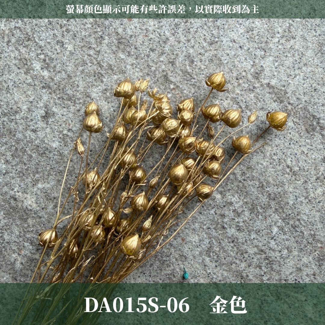 DA015S PA015S 臨花經濟包｜乾燥臨花 永生花 配花花材 永生花 乾燥花 不凋花 亞麻果實 亞麻籽 永生相思豆