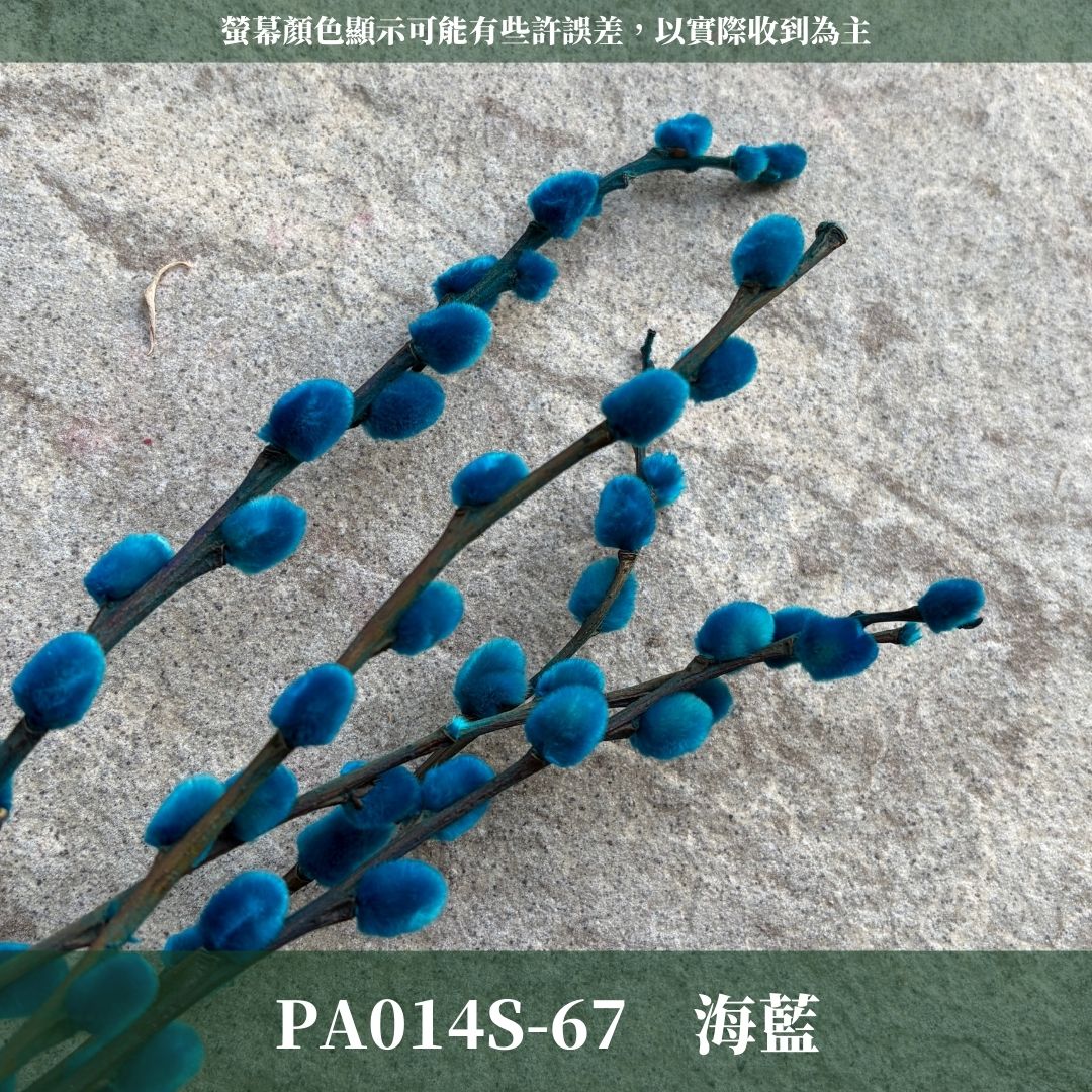 PA014S 銀柳經濟包｜招財永生銀柳枝條 彩色貓柳 染色細柱柳 春節花禮 過年花材 節氣佈置 年宵花 乾燥花
