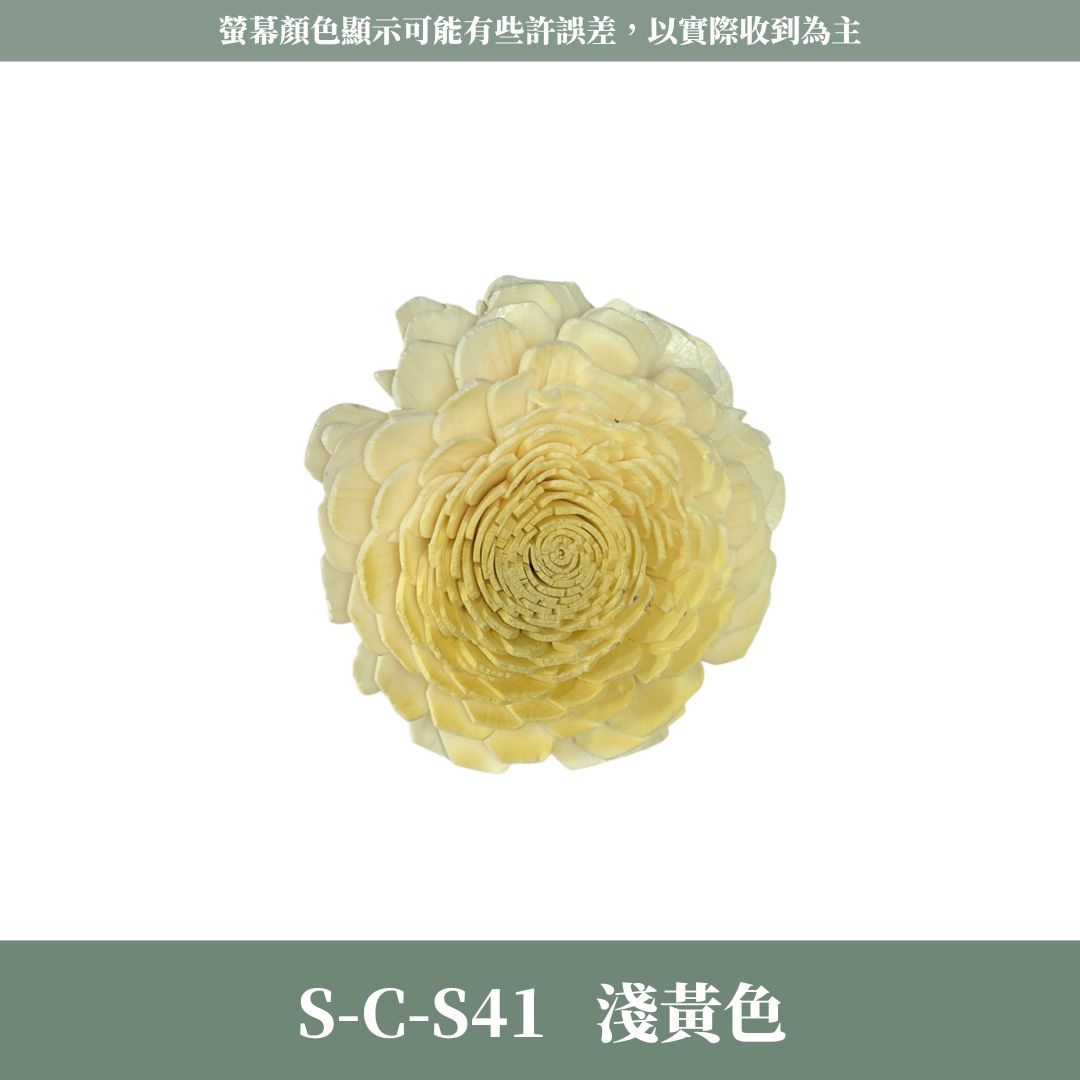 S-C 原裝太陽玫瑰索拉花｜約6CM｜通草花 擴香花 太陽玫瑰 太陽菊 乾燥花禮禮物 畢業花束DIY 乾燥花 永生花