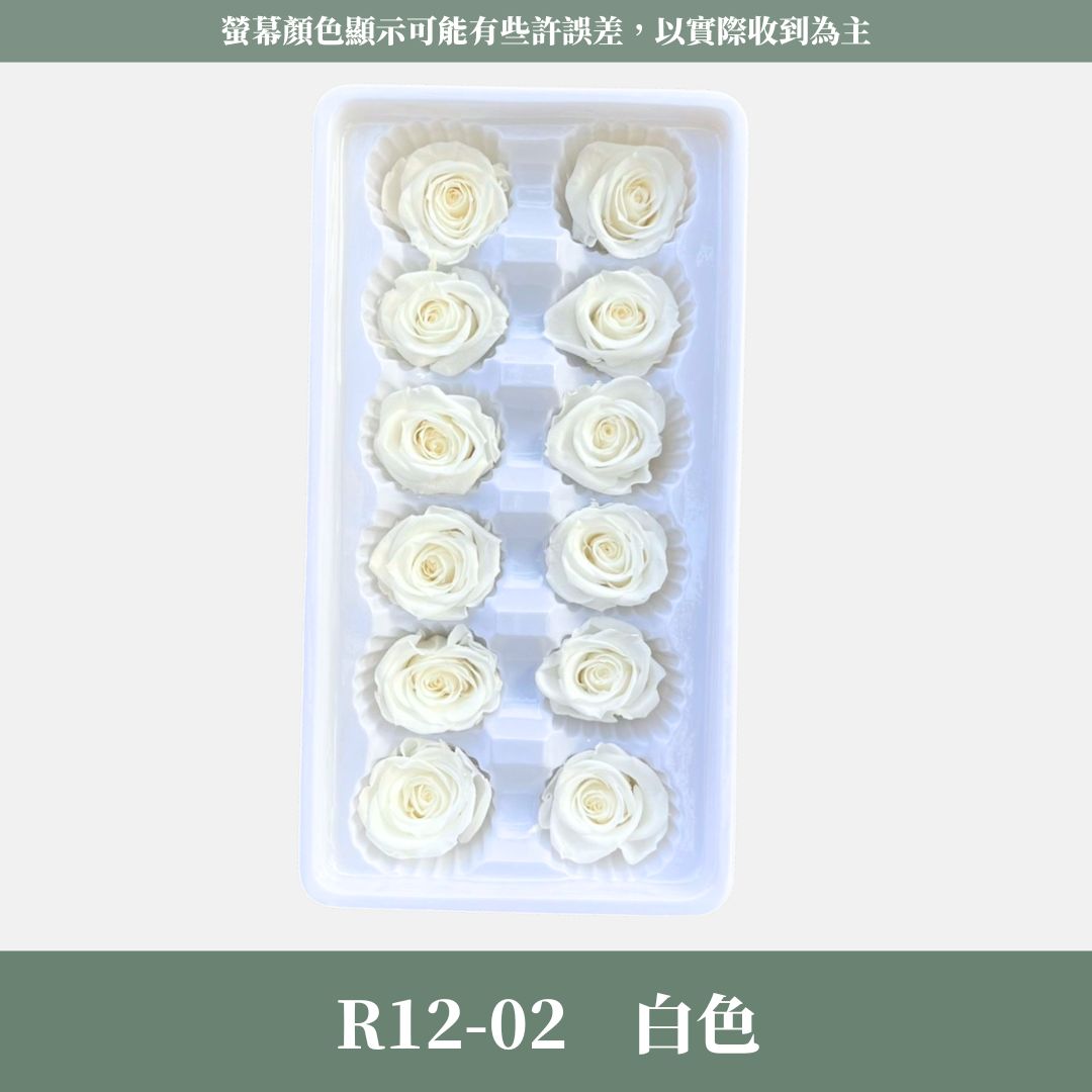 R12 A級十二輪玫瑰｜買12朵省120元｜約 3-4 cm｜花藝師必買 不凋大玫瑰花頭 永生玫瑰 花束材料 捧花材料