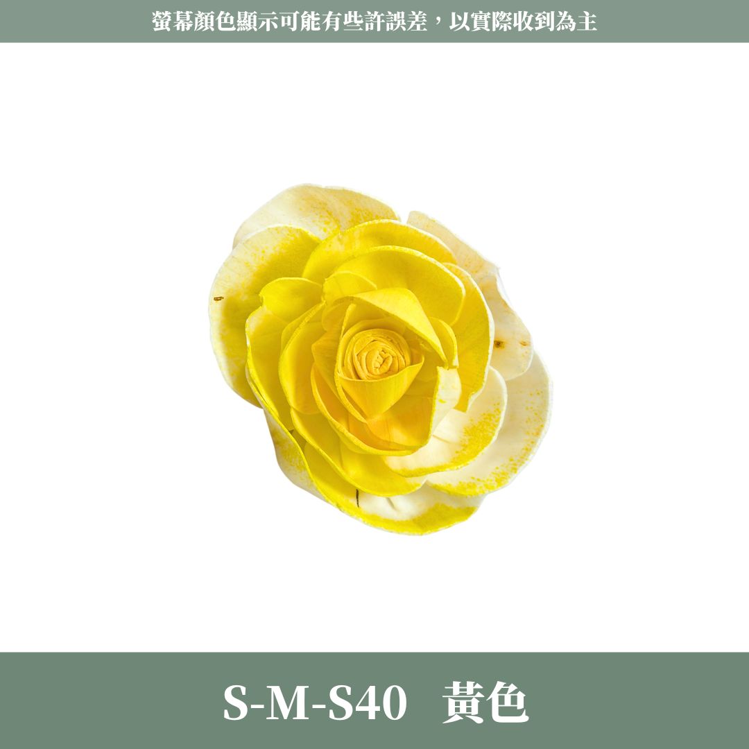 S-M 8CM天使玫瑰索拉花｜五入原裝｜通草花 擴香花 天使玫瑰 進口玫瑰 乾燥花禮禮物 畢業花束DIY 乾燥花 永生花