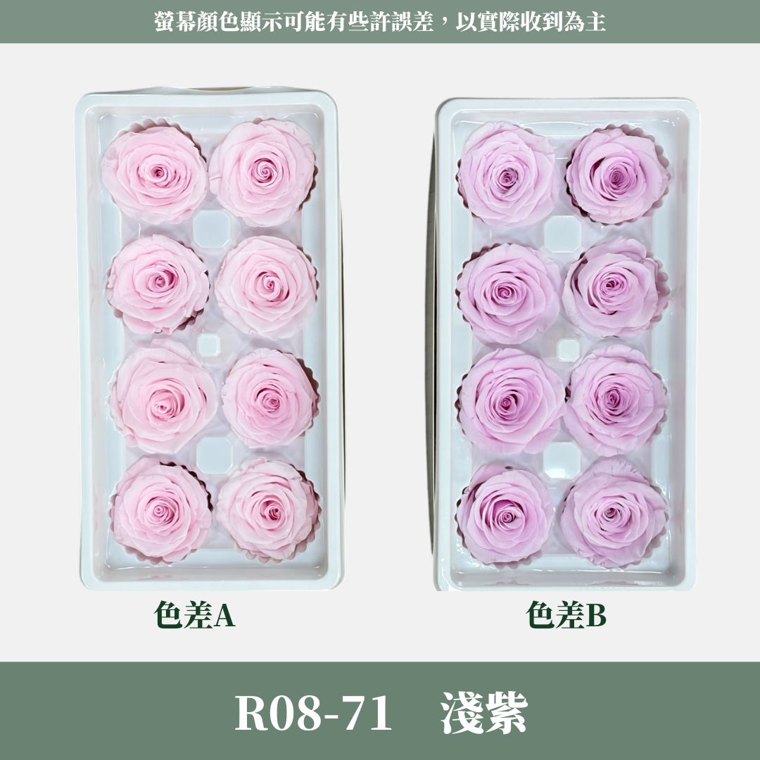 R08 A級八輪玫瑰｜約 4-5 cm｜花藝師必買 不凋大玫瑰花頭 永生玫瑰 香頌玫瑰 甦醒玫瑰 花束材料 捧花材料
