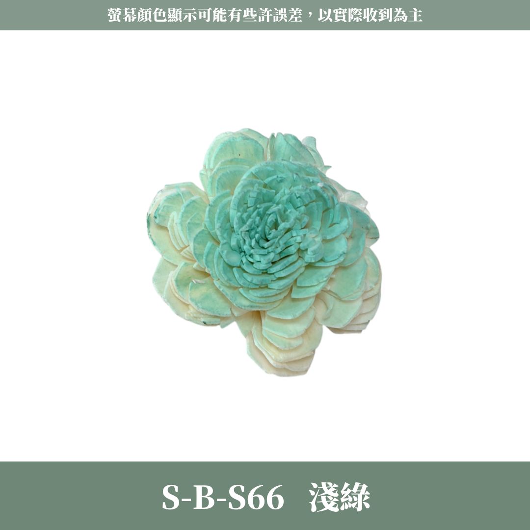 S-B 原裝小太陽玫瑰索拉花｜約4CM｜通草花 擴香花 太陽玫瑰 太陽菊 乾燥花禮禮物 畢業花束DIY 乾燥花 永生花