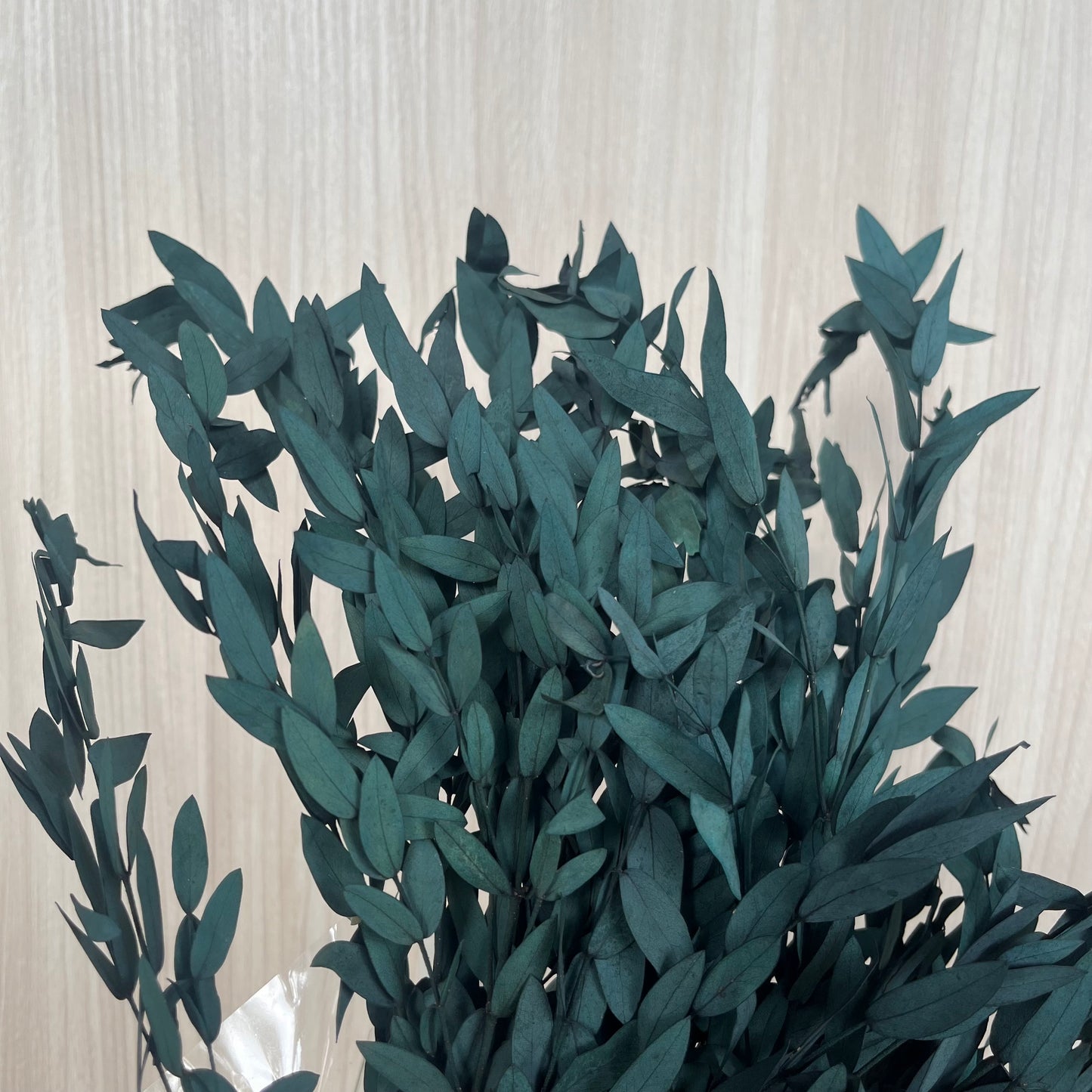 ✿ 台灣現貨 ✿ PL004 DL004 細葉尤加利