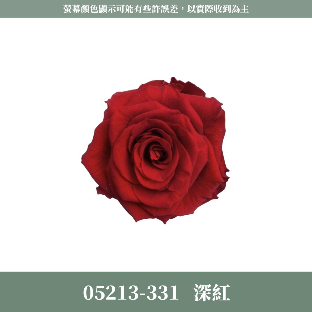 05213 原裝滿開玫瑰05213s 日本大地滿開玫瑰｜絕版貨號出清｜日本進口玫瑰 玫瑰花頭 花材 花藝設計 婚禮佈置 DIY插花 永生花