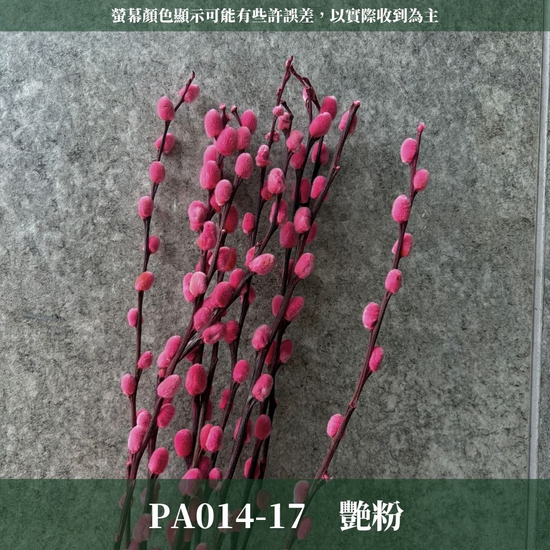 PA014 原裝銀柳｜招財永生銀柳枝條 彩色貓柳 染色細柱柳 春節花禮 過年花材 節氣佈置 年宵花 乾燥花