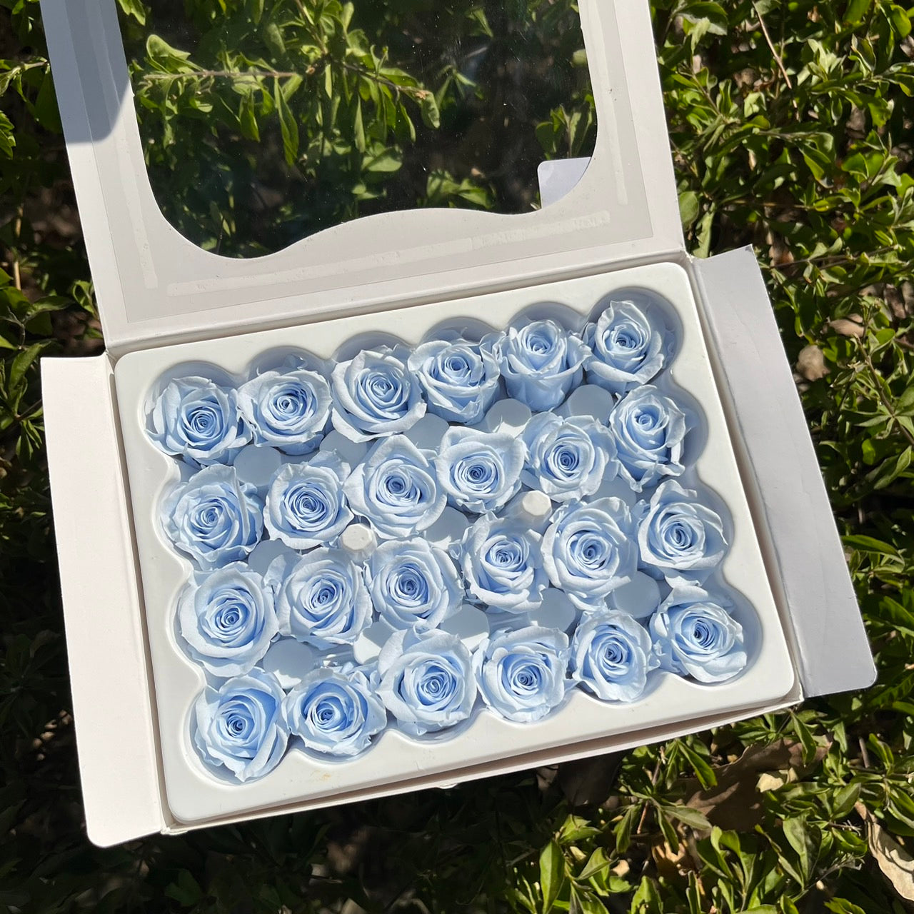 ***花大伯 R24 永生玫瑰 1.5~2cm玫瑰 Ａ級 24朵裝 不凋花 小香風玫瑰 色彩款式齊全 莫蘭迪