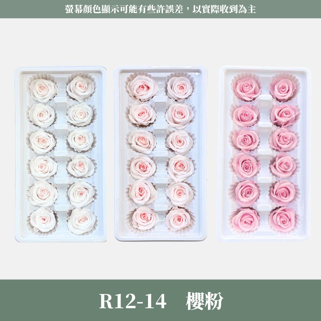 R12s A級十二輪玫瑰｜買12朵省120元｜約 3-4 cm｜花藝師必買 不凋大玫瑰花頭 永生玫瑰 花束材料 捧花材料