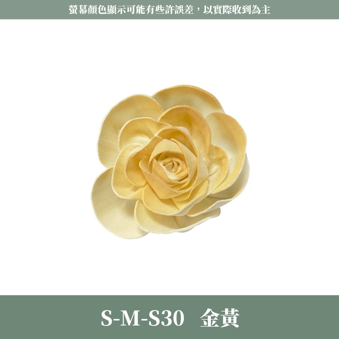 S-M 8CM天使玫瑰索拉花｜五入原裝｜通草花 擴香花 天使玫瑰 進口玫瑰 乾燥花禮禮物 畢業花束DIY 乾燥花 永生花