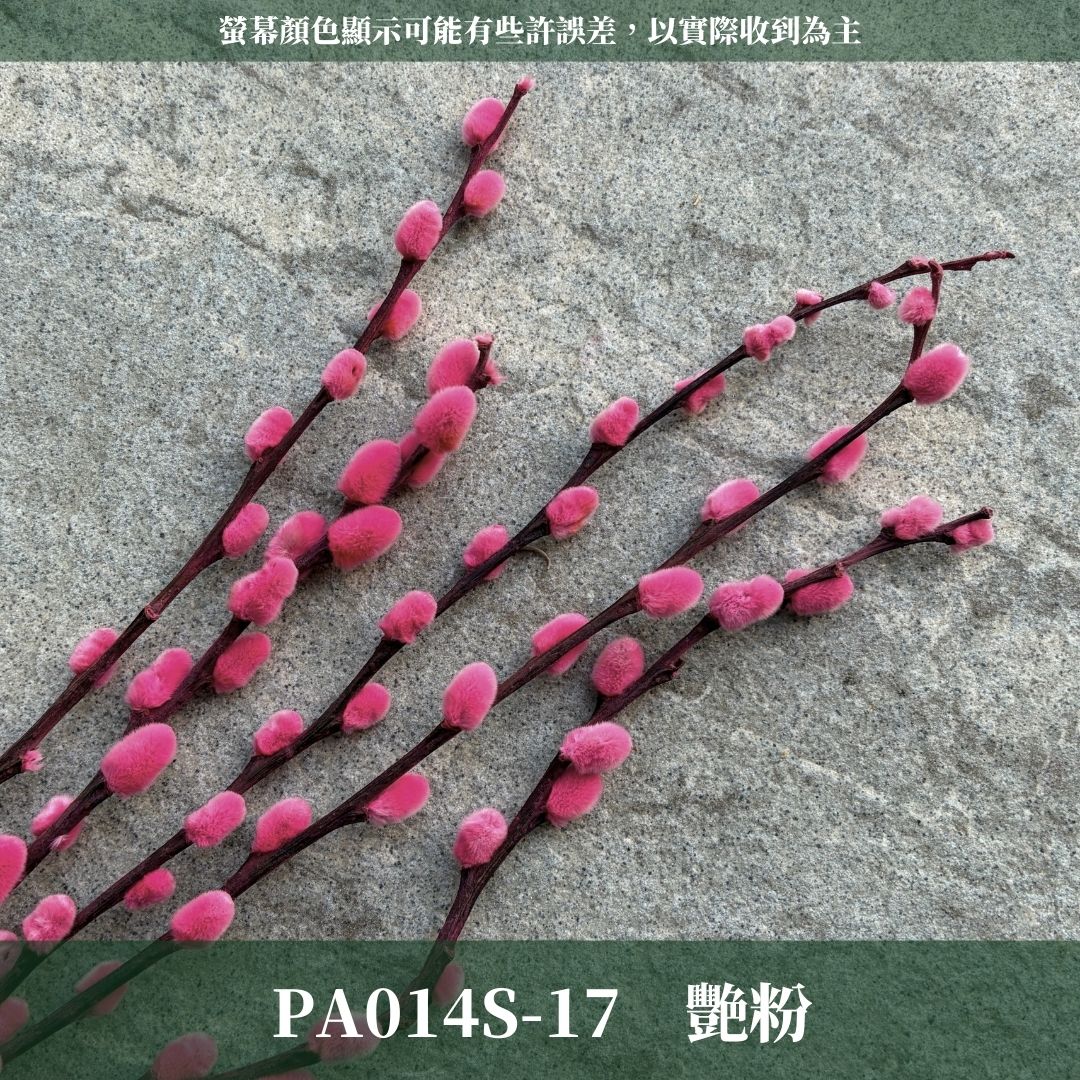 PA014S 銀柳經濟包｜招財永生銀柳枝條 彩色貓柳 染色細柱柳 春節花禮 過年花材 節氣佈置 年宵花 乾燥花