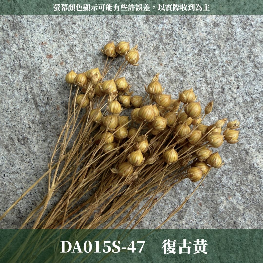 DA015S PA015S 臨花經濟包｜乾燥臨花 永生花 配花花材 永生花 乾燥花 不凋花 亞麻果實 亞麻籽 永生相思豆