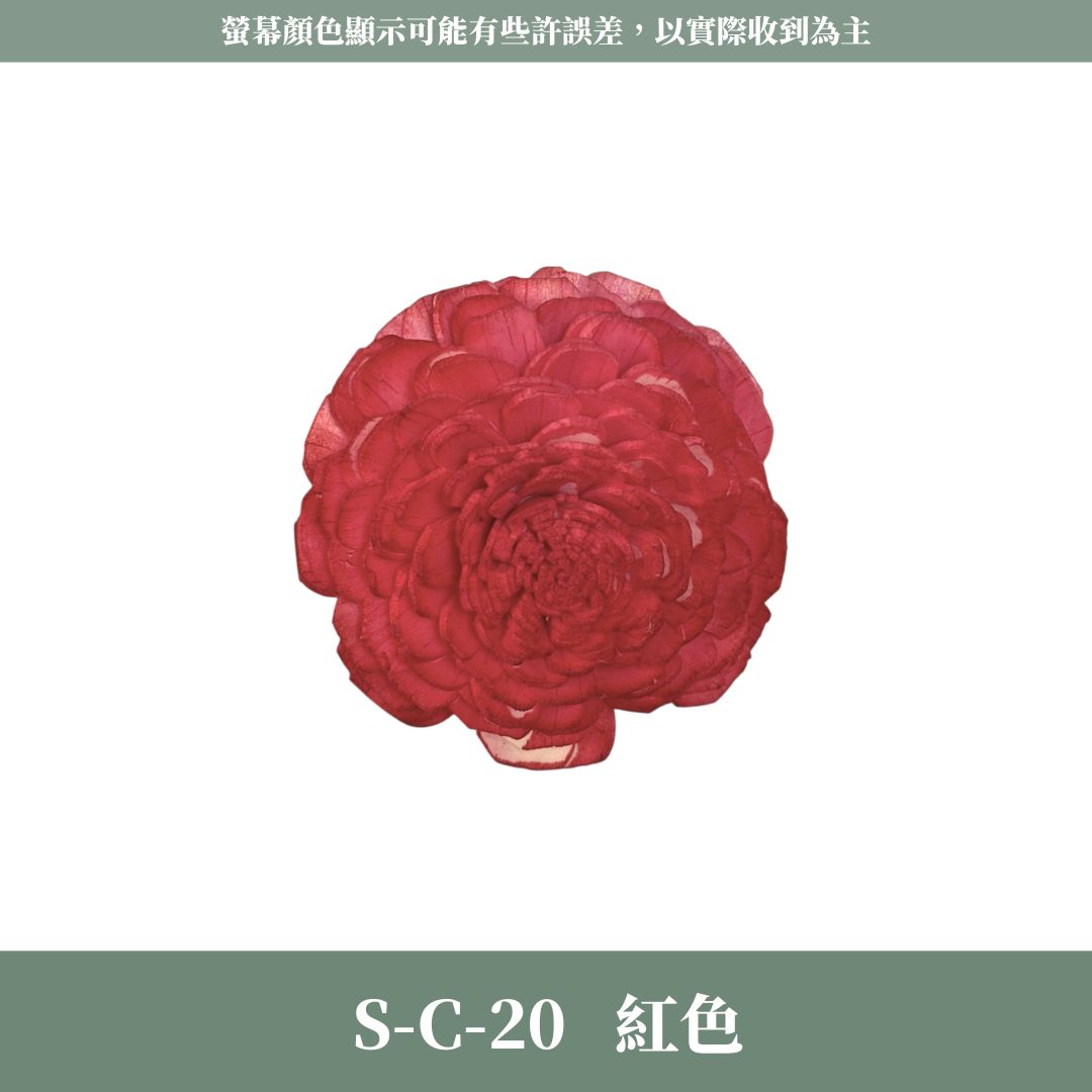 S-C 原裝太陽玫瑰索拉花｜約6CM｜通草花 擴香花 太陽玫瑰 太陽菊 乾燥花禮禮物 畢業花束DIY 乾燥花 永生花