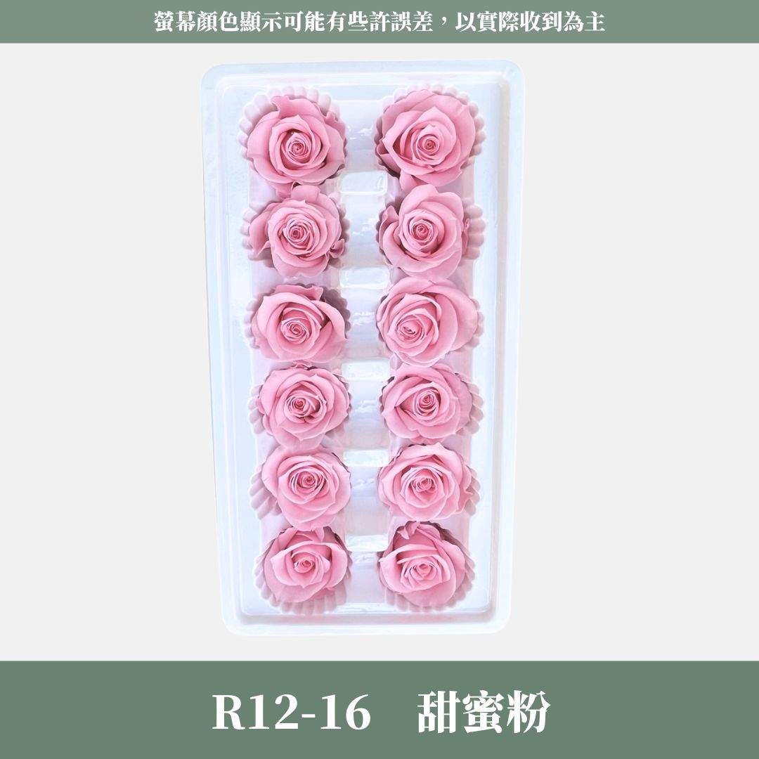 R12 A級十二輪玫瑰｜買12朵省120元｜約 3-4 cm｜花藝師必買 不凋大玫瑰花頭 永生玫瑰 花束材料 捧花材料
