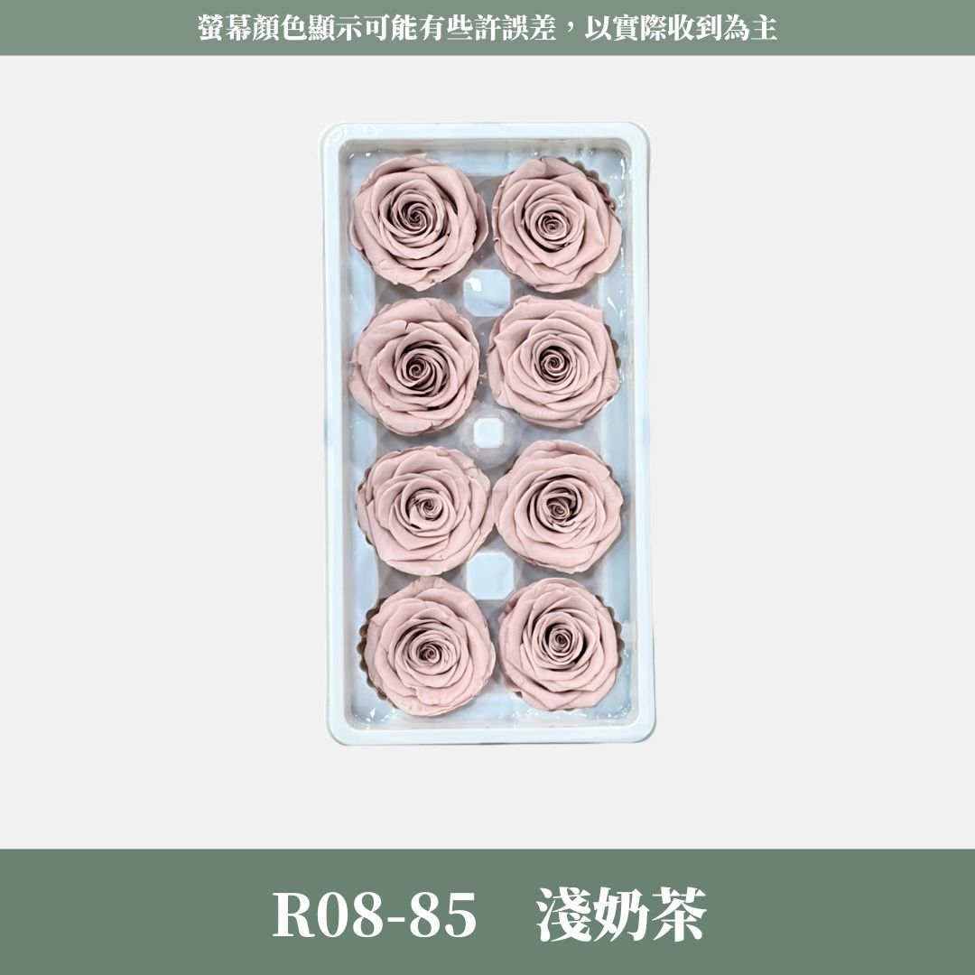 R08 A級八輪玫瑰｜約 4-5 cm｜花藝師必買 不凋大玫瑰花頭 永生玫瑰 香頌玫瑰 甦醒玫瑰 花束材料 捧花材料