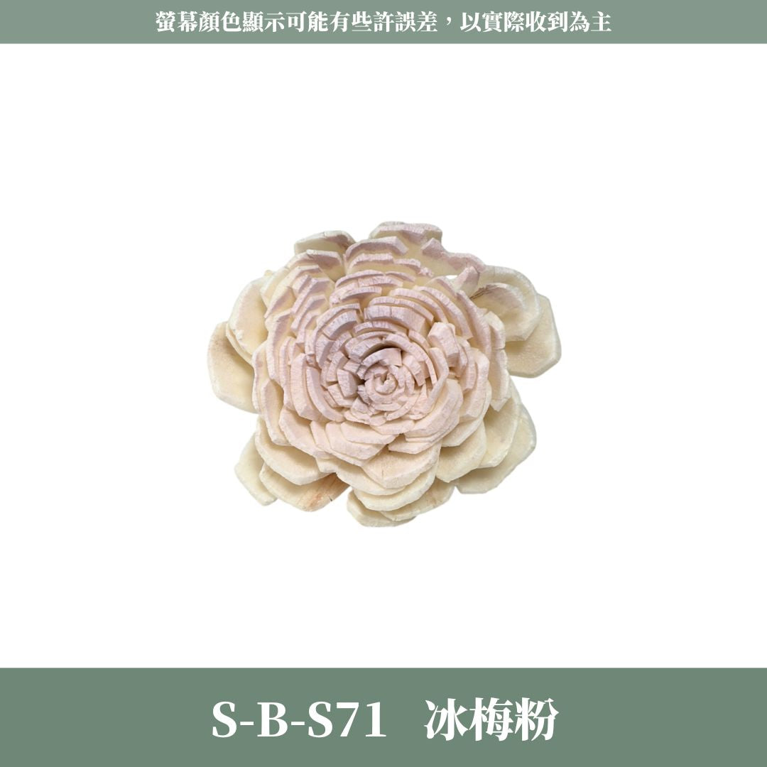 S-B 原裝小太陽玫瑰索拉花｜約4CM｜通草花 擴香花 太陽玫瑰 太陽菊 乾燥花禮禮物 畢業花束DIY 乾燥花 永生花