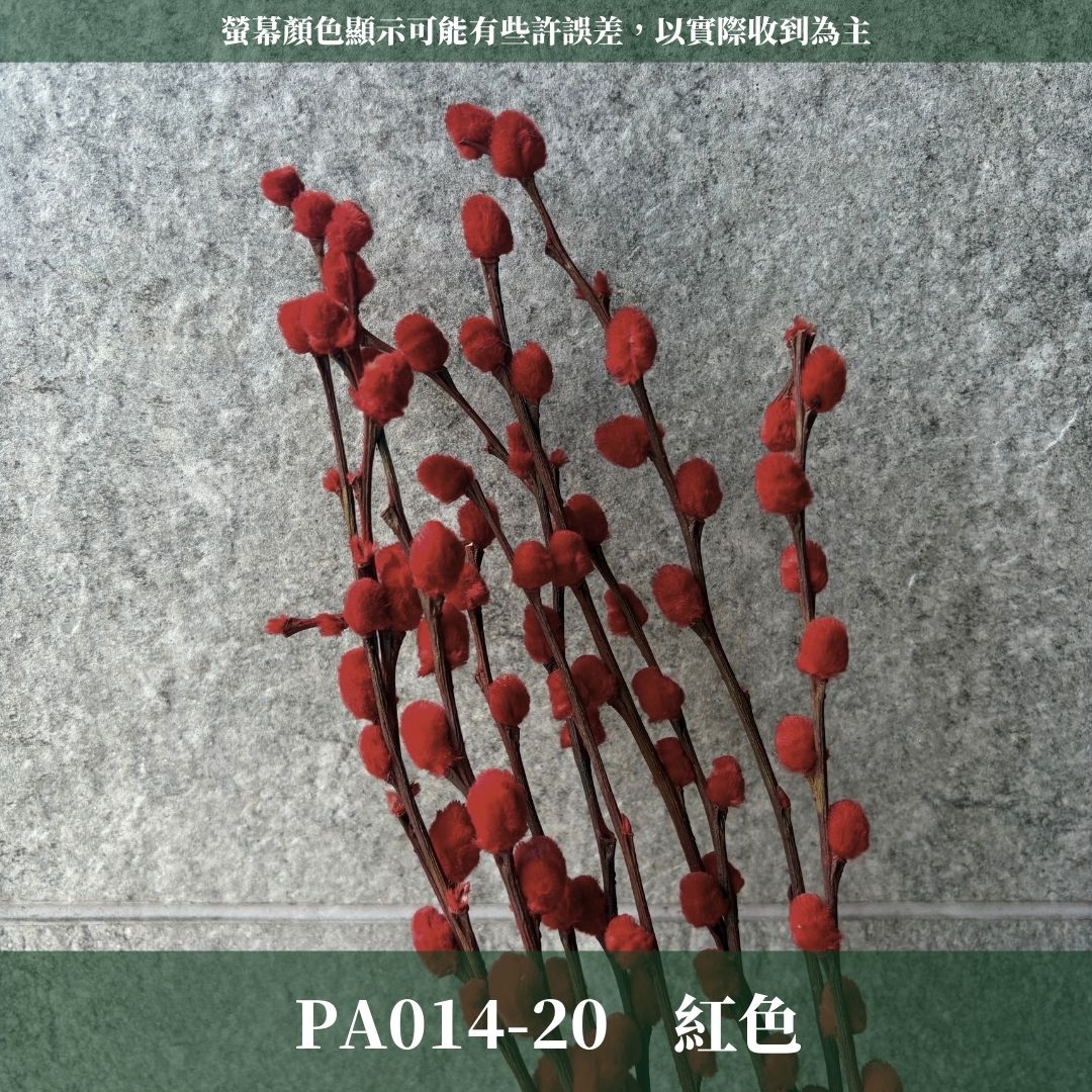 PA014 原裝銀柳｜招財永生銀柳枝條 彩色貓柳 染色細柱柳 春節花禮 過年花材 節氣佈置 年宵花 乾燥花