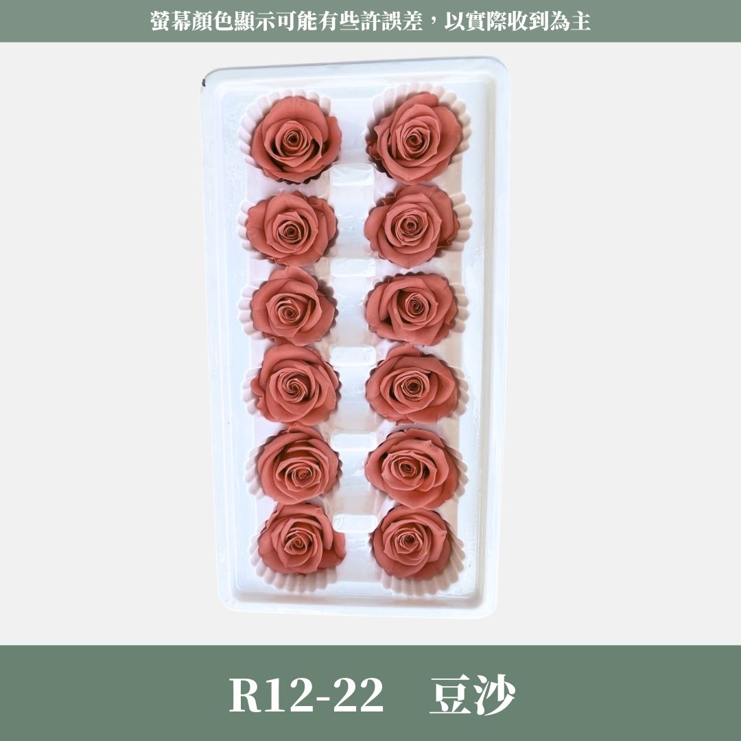 R12s A級十二輪玫瑰｜買12朵省120元｜約 3-4 cm｜花藝師必買 不凋大玫瑰花頭 永生玫瑰 花束材料 捧花材料