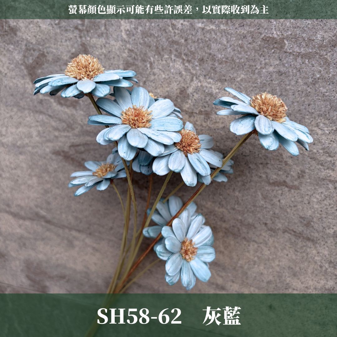 SH58 原裝瑪格麗特瓜子花｜花藝必買｜乾燥主花 蓬蒿菊 瑪格莉特 乾燥花材 乾燥花 小雛菊 手工花 不凋花 花束材料