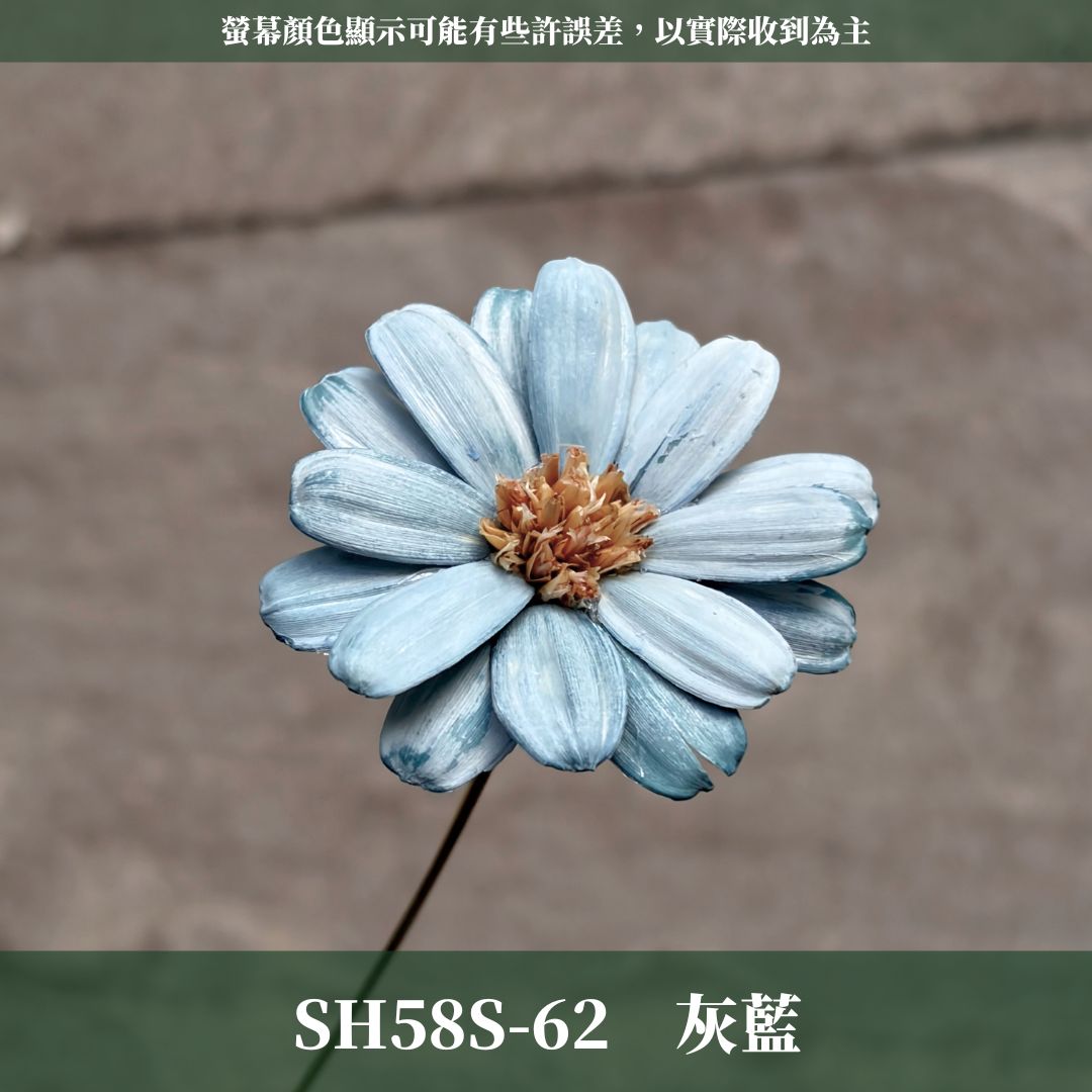 SH58S 瑪格麗特瓜子花｜花藝必買｜乾燥主花 蓬蒿菊 瑪格莉特 乾燥花材 乾燥花 小雛菊 手工花 不凋花 花束材料