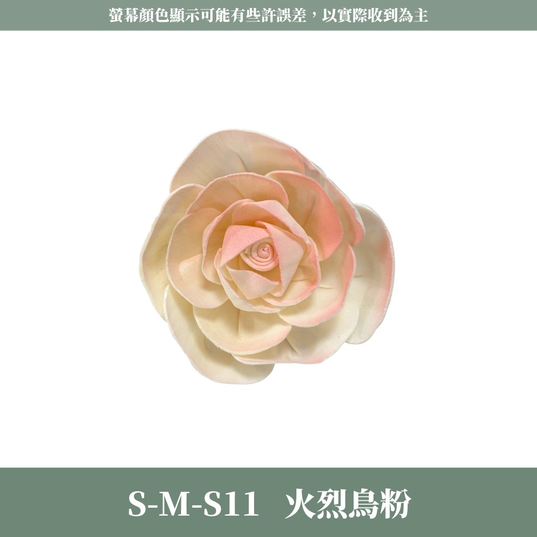 S-M 8CM天使玫瑰索拉花｜五入原裝｜通草花 擴香花 天使玫瑰 進口玫瑰 乾燥花禮禮物 畢業花束DIY 乾燥花 永生花
