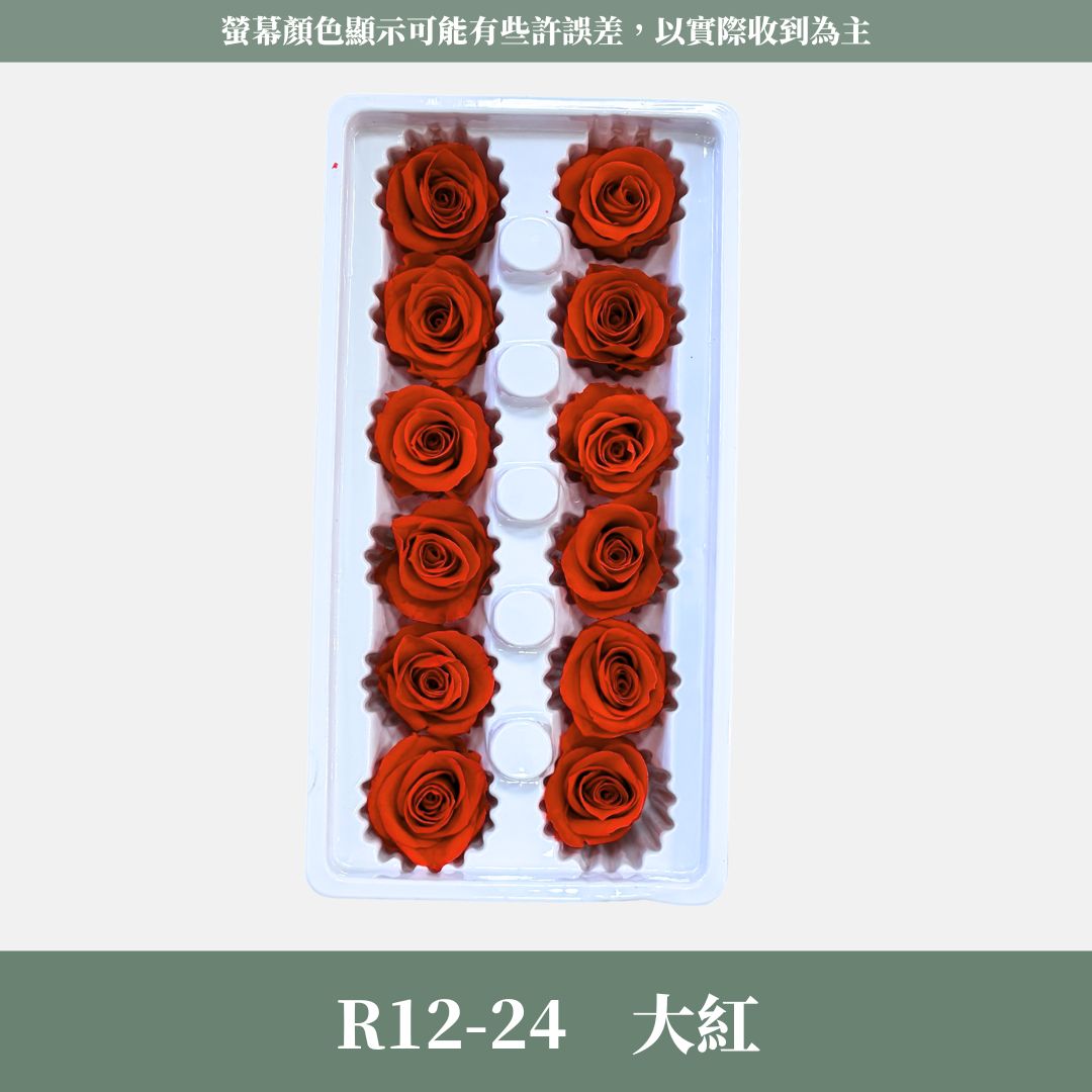R12 A級十二輪玫瑰｜買12朵省120元｜約 3-4 cm｜花藝師必買 不凋大玫瑰花頭 永生玫瑰 花束材料 捧花材料