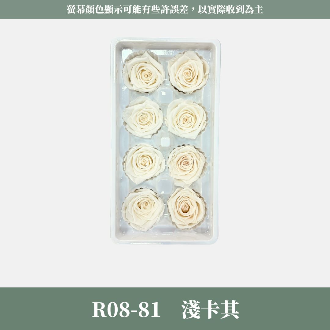 R08 A級八輪玫瑰｜約 4-5 cm｜花藝師必買 不凋大玫瑰花頭 永生玫瑰 香頌玫瑰 甦醒玫瑰 花束材料 捧花材料