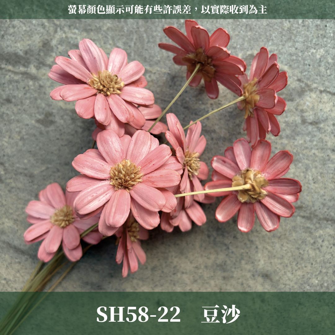 SH58 原裝瑪格麗特瓜子花｜花藝必買｜乾燥主花 蓬蒿菊 瑪格莉特 乾燥花材 乾燥花 小雛菊 手工花 不凋花 花束材料