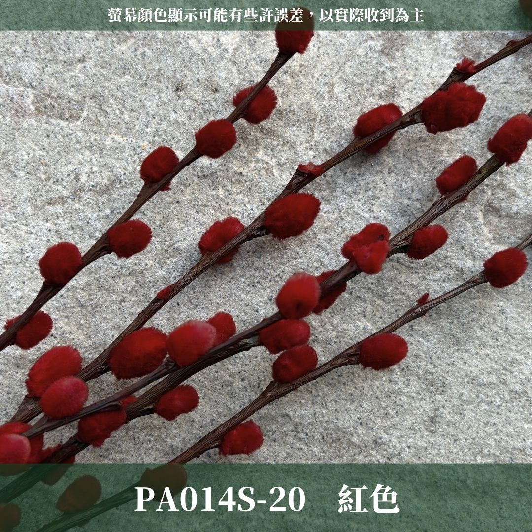 PA014S 銀柳經濟包｜招財永生銀柳枝條 彩色貓柳 染色細柱柳 春節花禮 過年花材 節氣佈置 年宵花 乾燥花