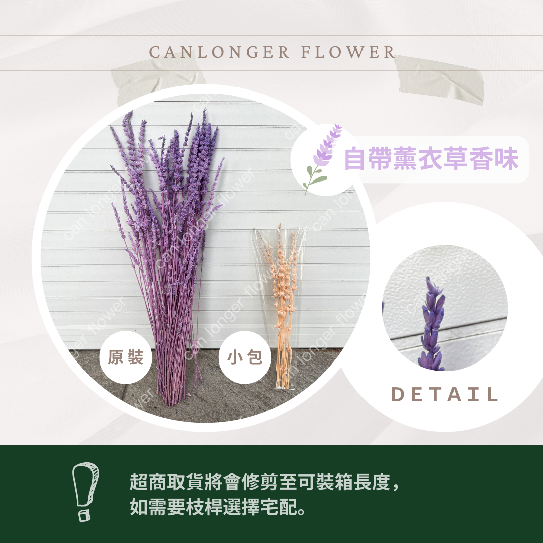 【台灣現貨】PA056s 薰衣草(15支) 小份量