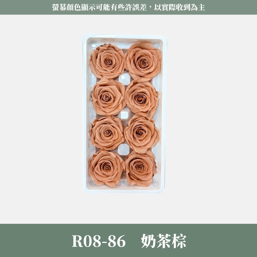 R08 A級八輪玫瑰｜約 4-5 cm｜花藝師必買 不凋大玫瑰花頭 永生玫瑰 香頌玫瑰 甦醒玫瑰 花束材料 捧花材料