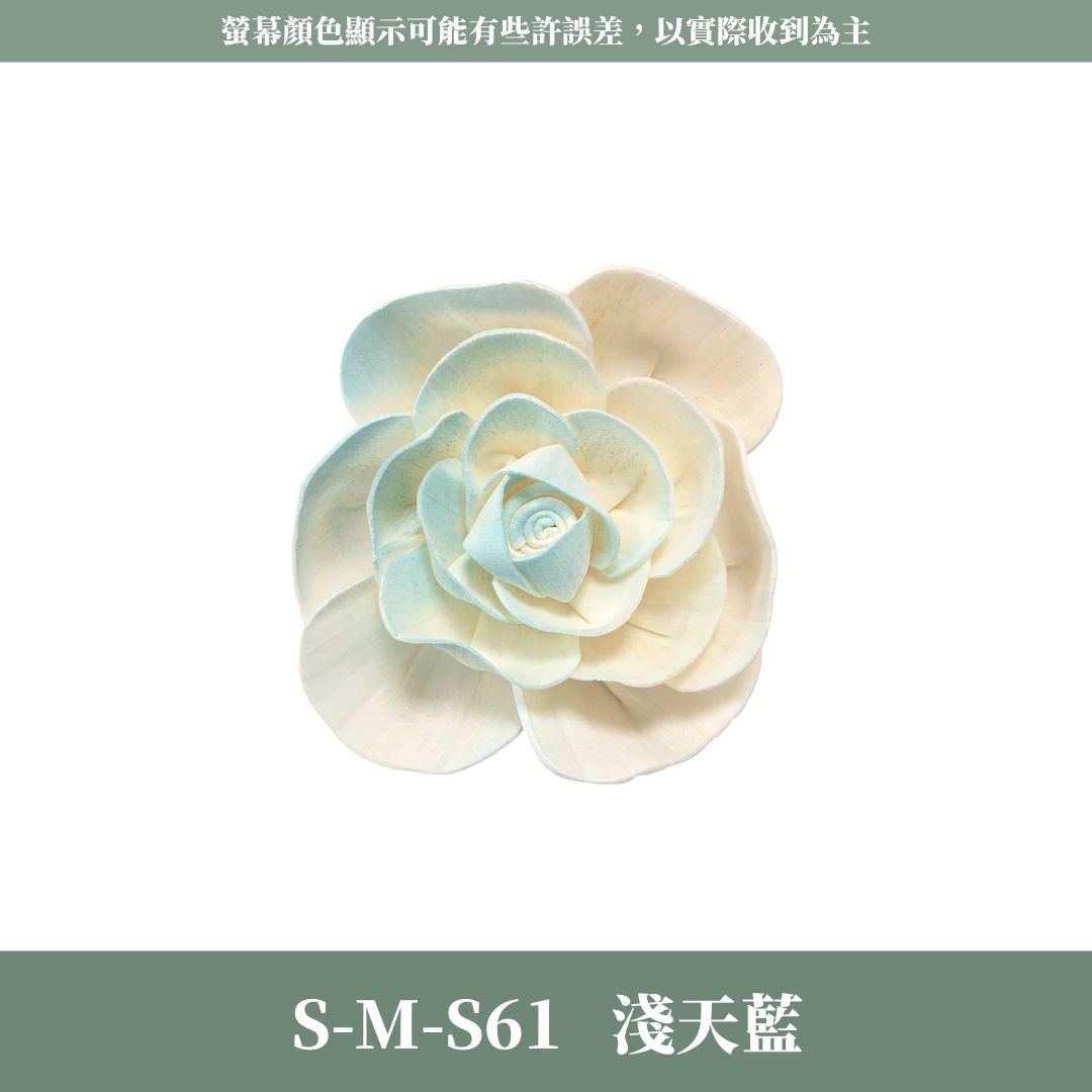 S-M 8CM天使玫瑰索拉花｜五入原裝｜通草花 擴香花 天使玫瑰 進口玫瑰 乾燥花禮禮物 畢業花束DIY 乾燥花 永生花