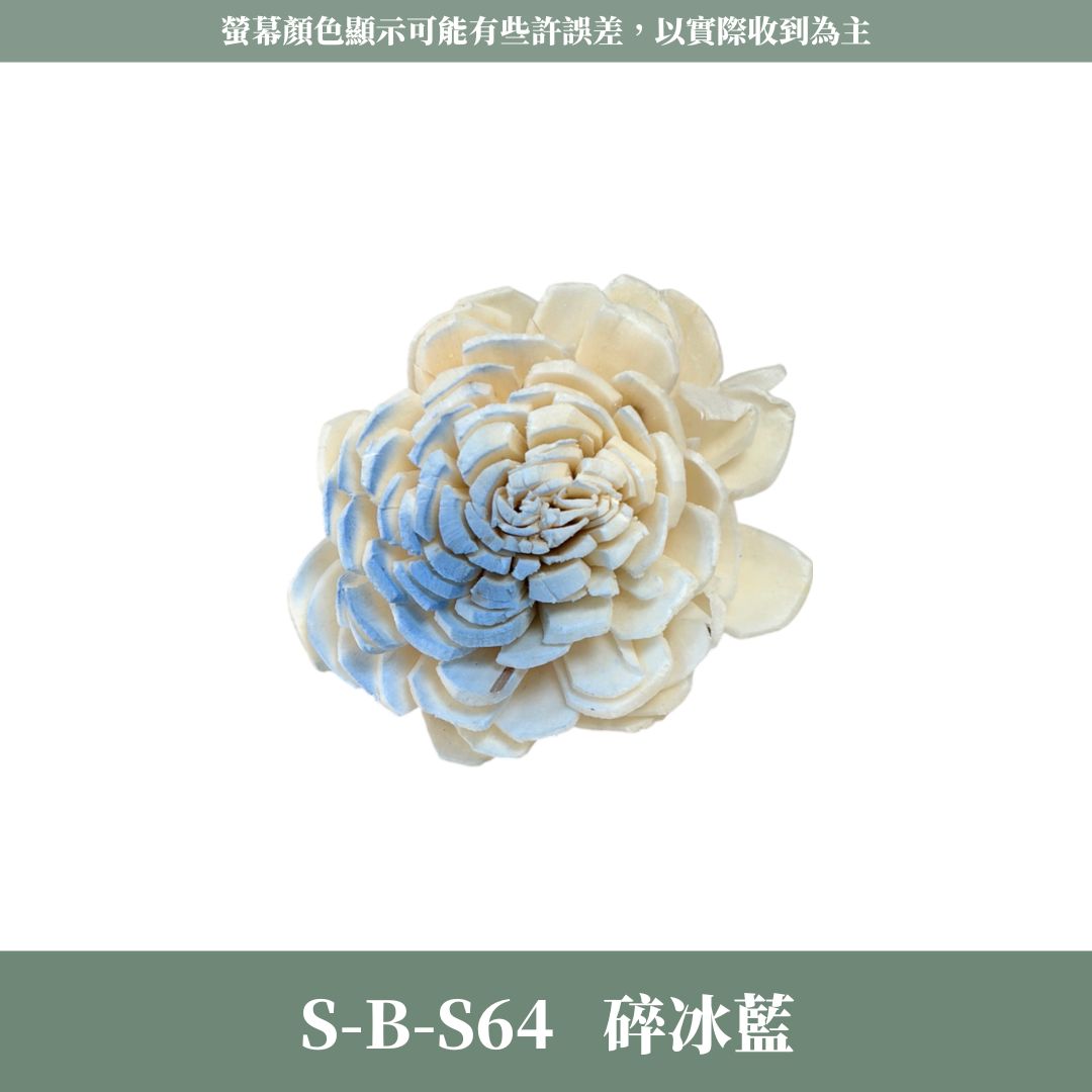 S-B 原裝小太陽玫瑰索拉花｜約4CM｜通草花 擴香花 太陽玫瑰 太陽菊 乾燥花禮禮物 畢業花束DIY 乾燥花 永生花