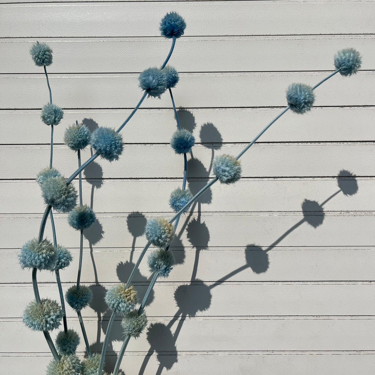 ✿ 台灣現貨 ✿ PA053 棒棒糖