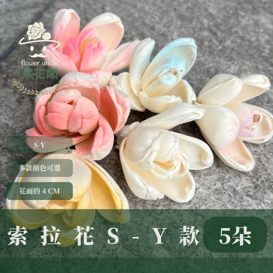 S-Y 索拉花 4CM 通草花 擴香花 台灣現貨