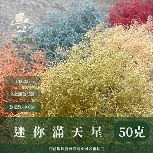 Pf003 迷你滿天星 小滿天星