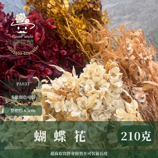 ✿ 台灣現貨 ✿ PA033 蝴蝶花 原裝