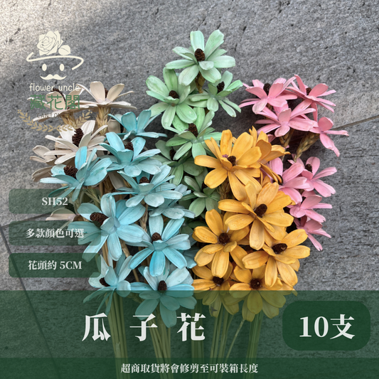 SH52 瓜子花 原裝 10支裝 台灣現貨