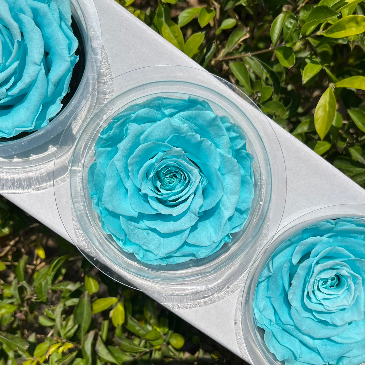 ✿ 台灣現貨 ✿ R03 永生拼接玫瑰7~8cm玫瑰 Ａ級 3朵裝 不凋花 永生花